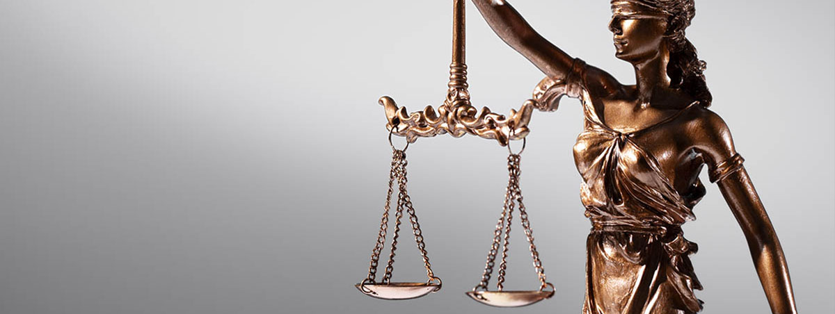 освободили от субсидиарной ответственности освободили от субсидиарной ответственности